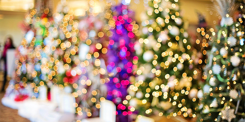 Christmas Underwater at the Adventure Aquarium