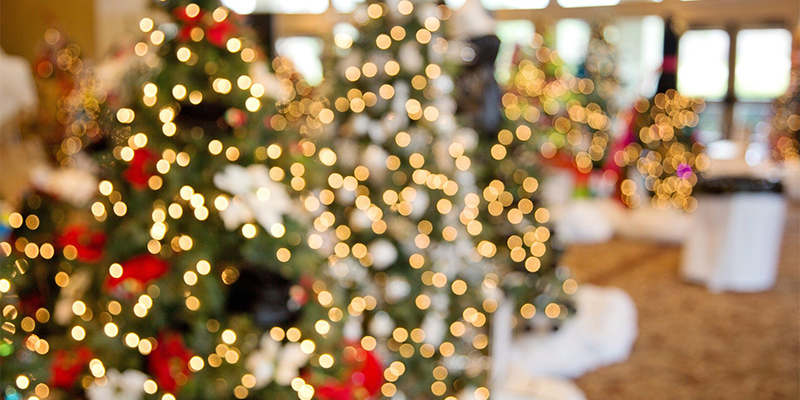 Festival of Trees at Morven