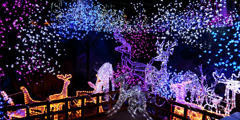 Holiday Light Drive Through