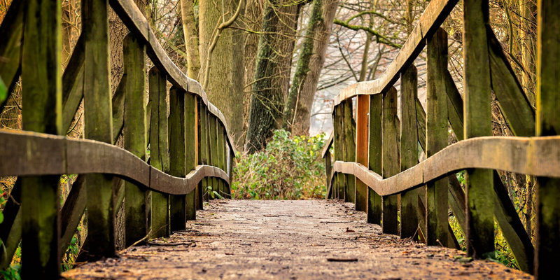 Hartshorne Woods Park