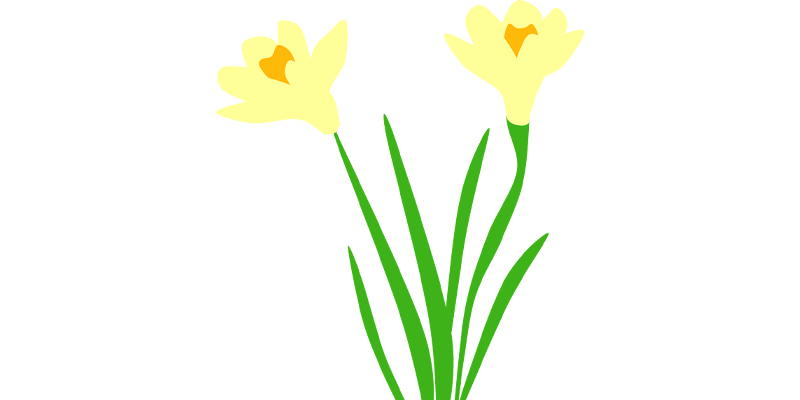 Daffodil Day at Reeves-Reed Arboretum