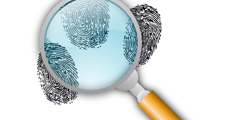 History Detective Hike