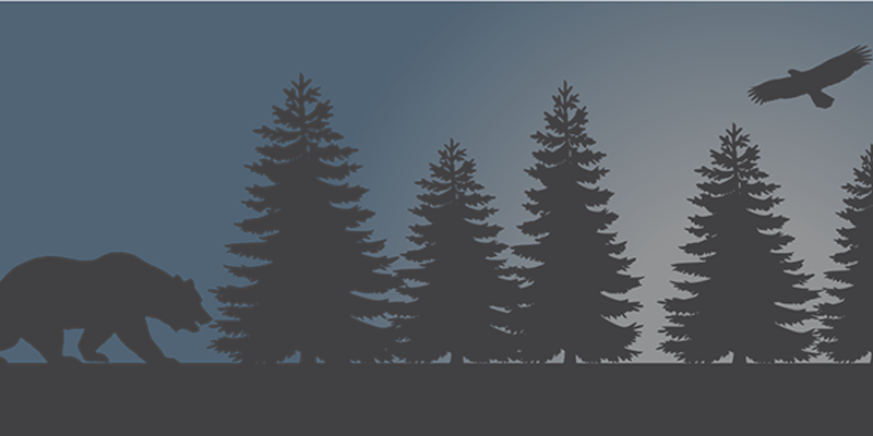 Cattus Island Nature Walks