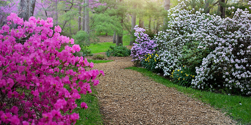 New Jersey Botanical Garden