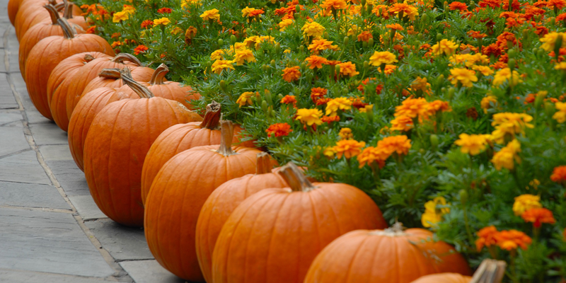 Annual Ghoul Spring Village