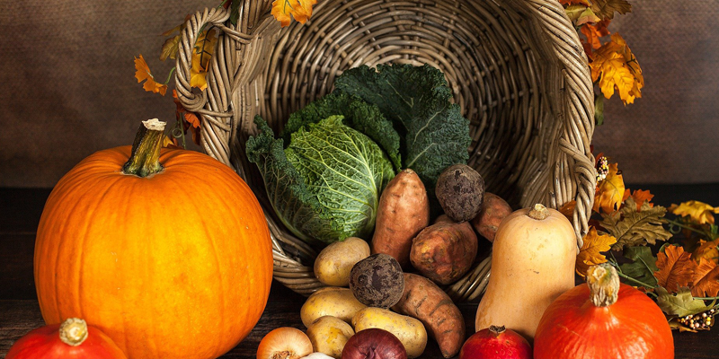 Annual Pumpkin Festival & Share the Harvest Food Drive