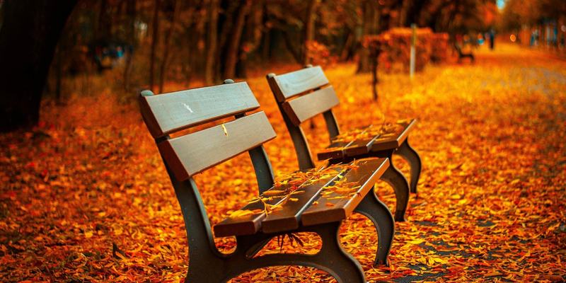 West Milford Autumn Lights Festival