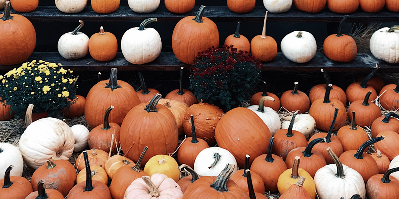 Heaven Hill Farm’s The Great Pumpkin Festival