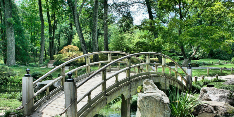 Night Forms: dreamloop by Klip Collective