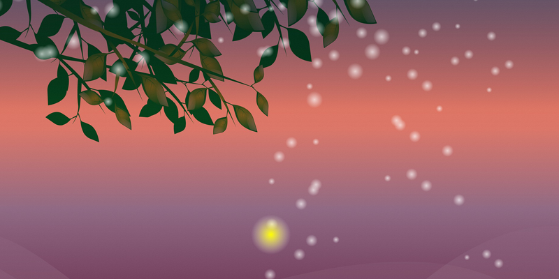 Firefly Festival at Terhune Orchards