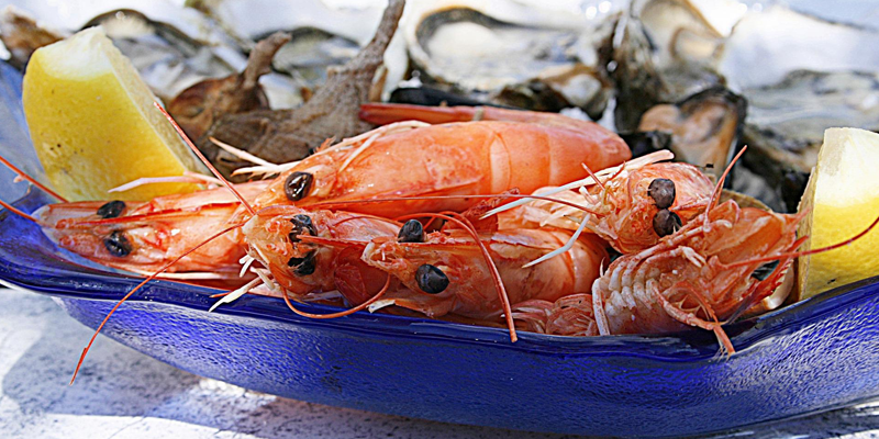 Meadowlands Racetrack Seafood Fest