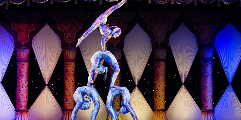 Muse Cirque Flip Fabrique