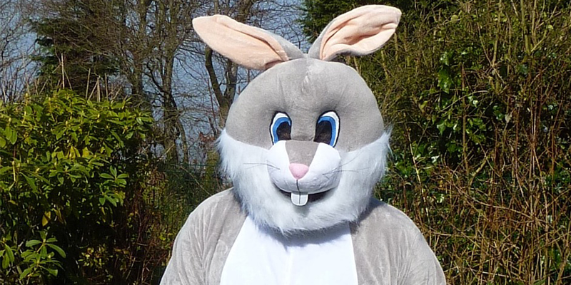 Strolling Spring Bunny