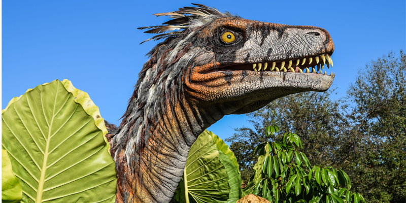 Field Station: Dinosaurs