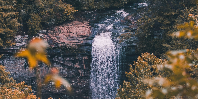 Paterson Great Falls