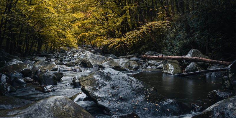 Wet, Wild and Wonderful Adventures 1