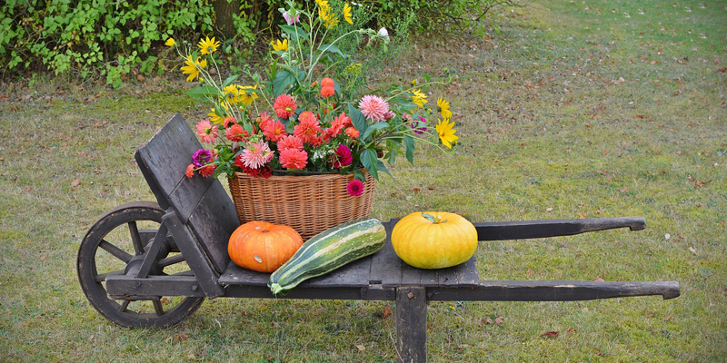 Edison Fall Family Spectacular