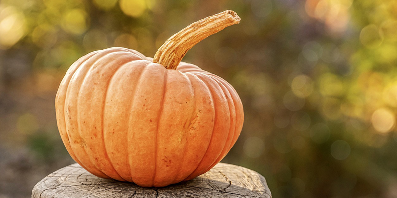 Great Pumpkin Festival 2023