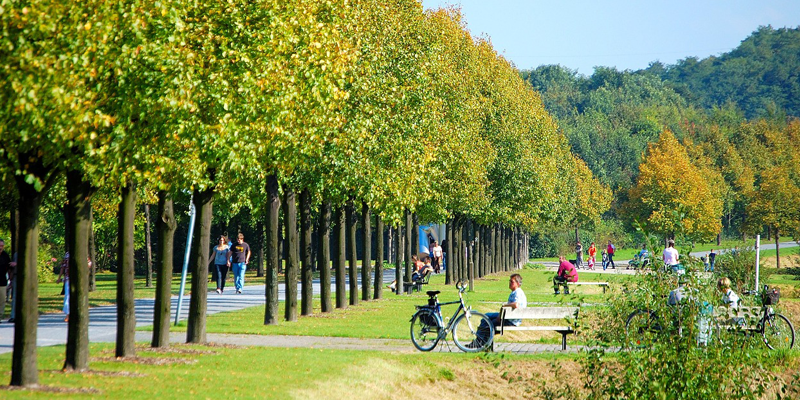 Morristown Festival on the Green