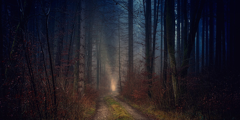 Six Flags’ Fright Fest