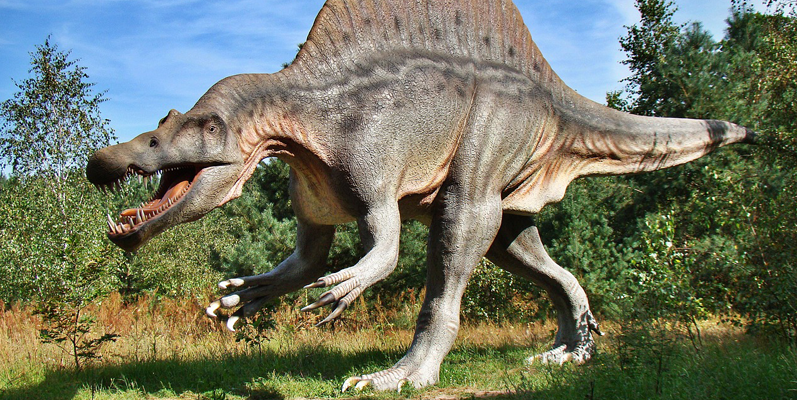 Dino Safari Festival