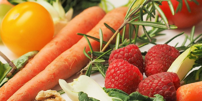 New Jersey Vegan Food Festival