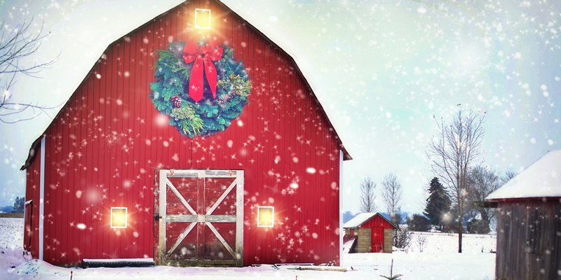Christmas on the Farm