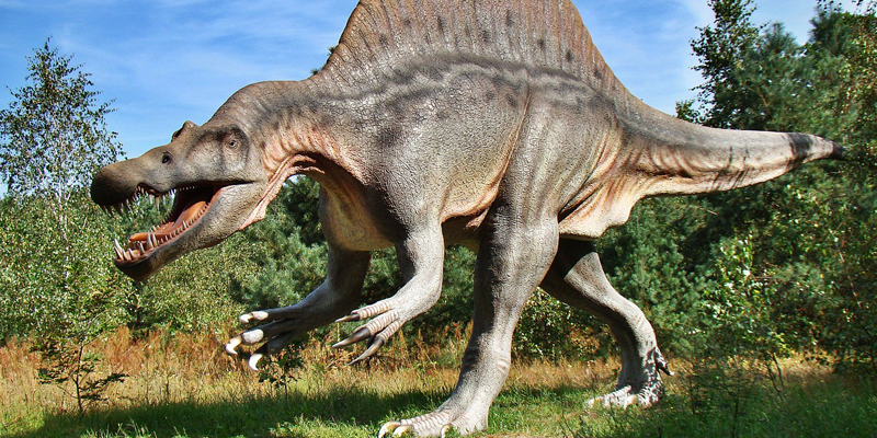 Jurassic Quest at NJ Convention & Expo Center