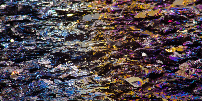 Rutgers Geological Museum Annual Open House