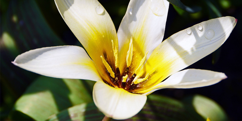 April Showers Sip and Shop Spectacular