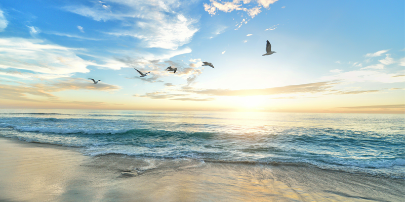 Brick Township Summerfest