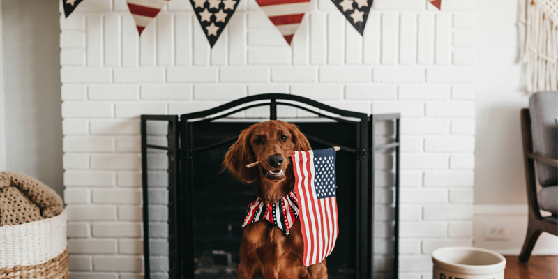 Independence Day Fireworks