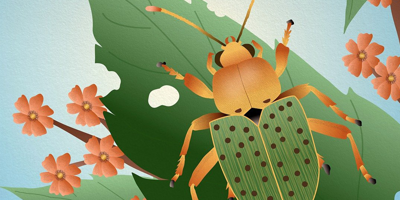 Insect Festival at Mercer Educational Gardens