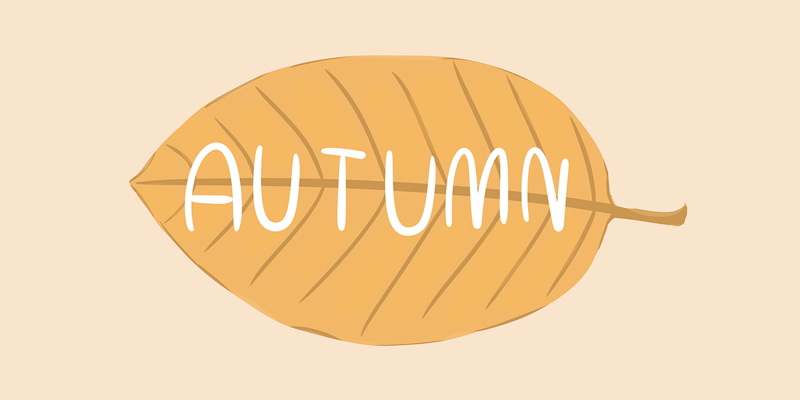 Autumn Lights Festival