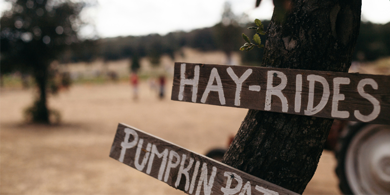 Happy Day Farm Fall Festival