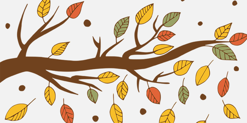 Mullica Hill Fall Festival