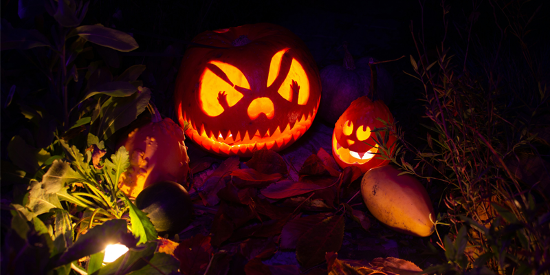 Skylands Stadium Jack O-Lantern Experience