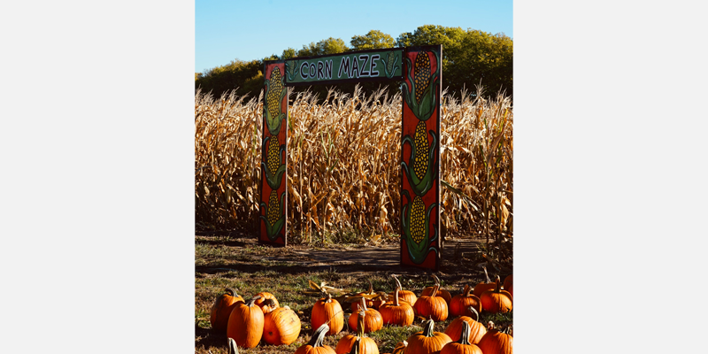 Von Thun’s Country Farm Market Fall Festival Weekends