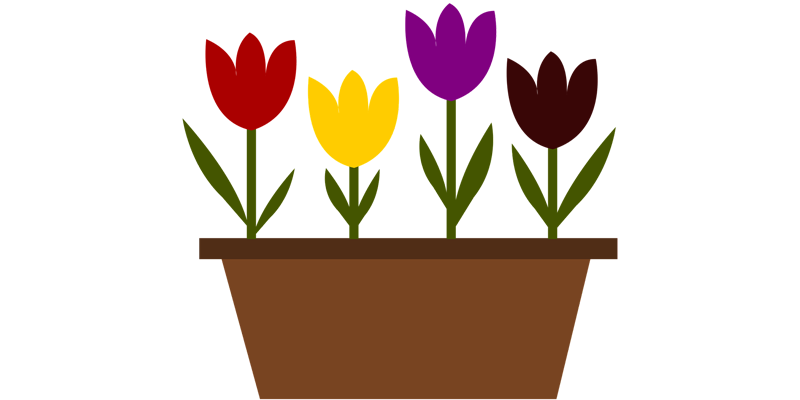 Holland Ridge Farms U-Pick Tulips: Winter Wonderland