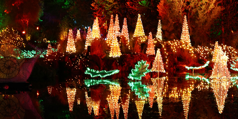 McCanns Christmas Light Show