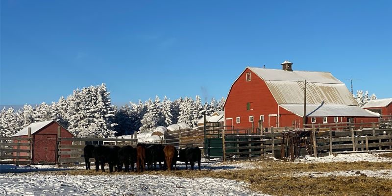 Parlor Games for Wintry Weather at Historic Longstreet Farm