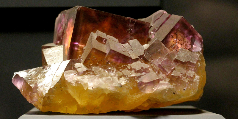 Rutgers Geological Museum Annual Open House