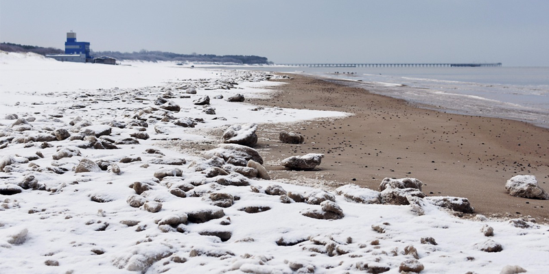 Polar Bear Plunge