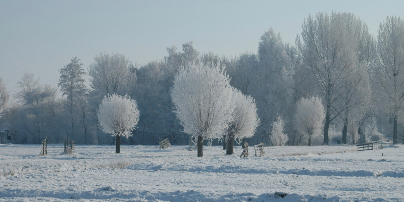 Winter Wonderland at the Liberty Science Center