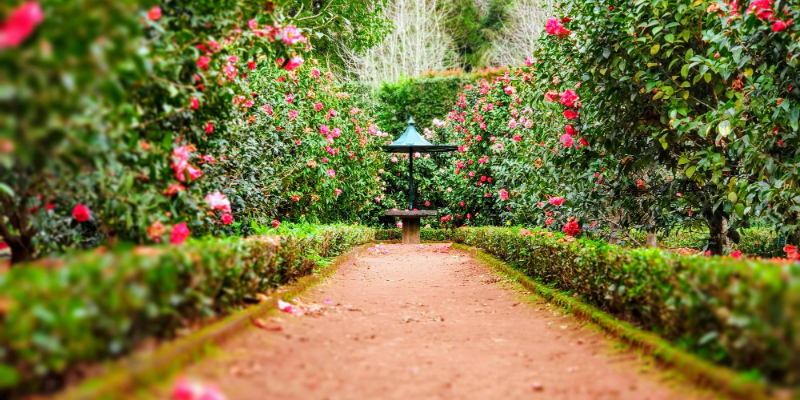 Spring Garden Tour at Rutgers Gardens